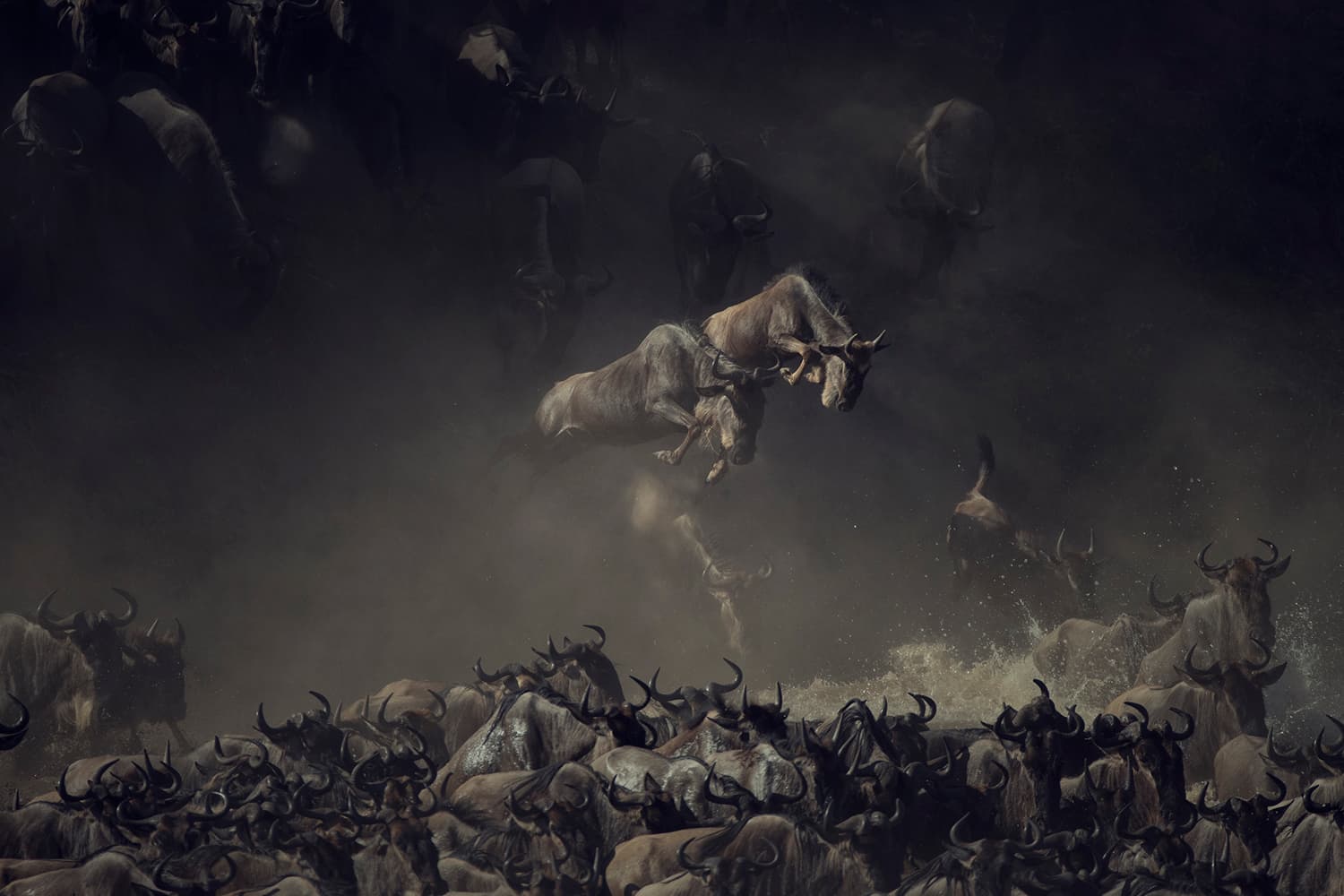 Fotografia më e bukur nga “National Geographic” për vitin 2018 (FOTO)
