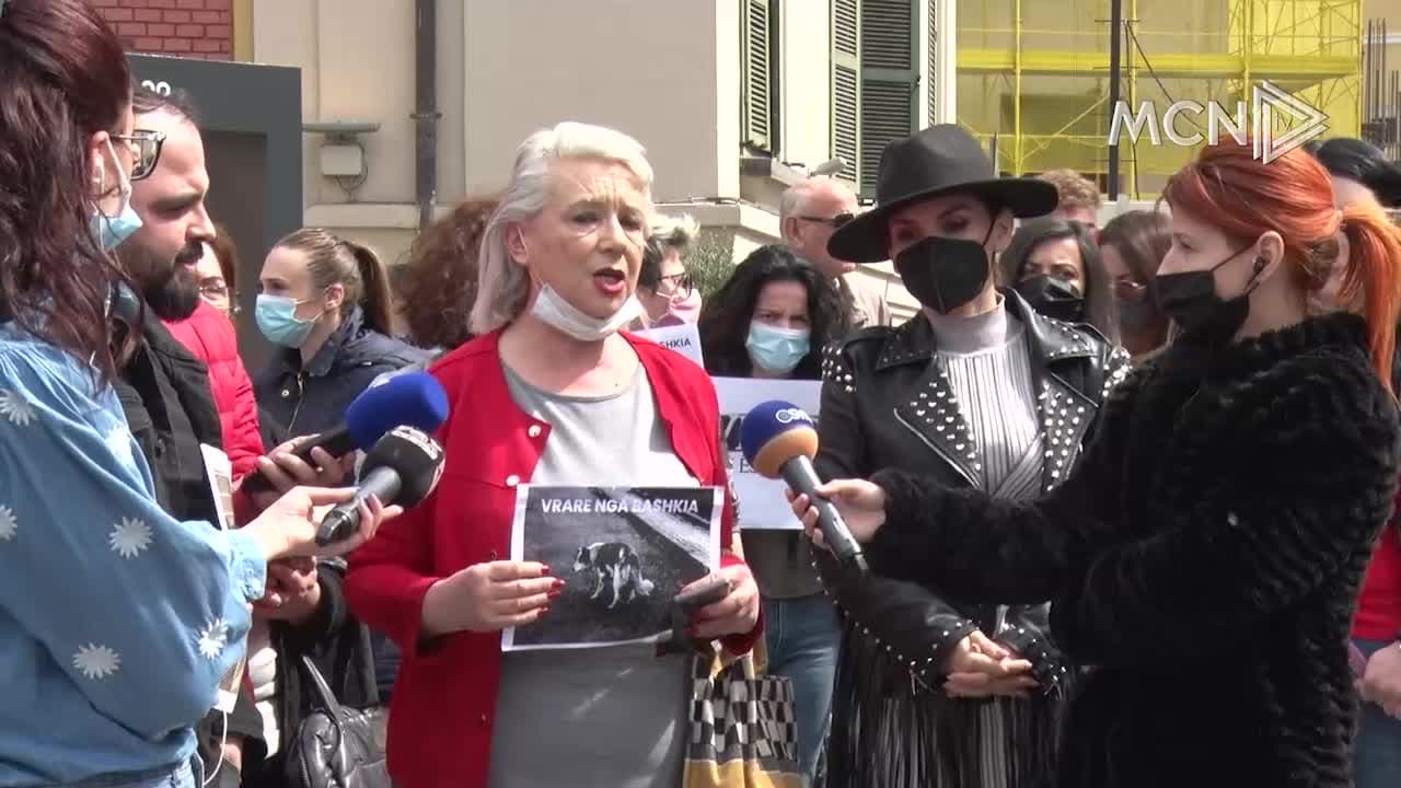 “Stop rrëmbimit dhe vrasjes së qenve” (VIDEO)