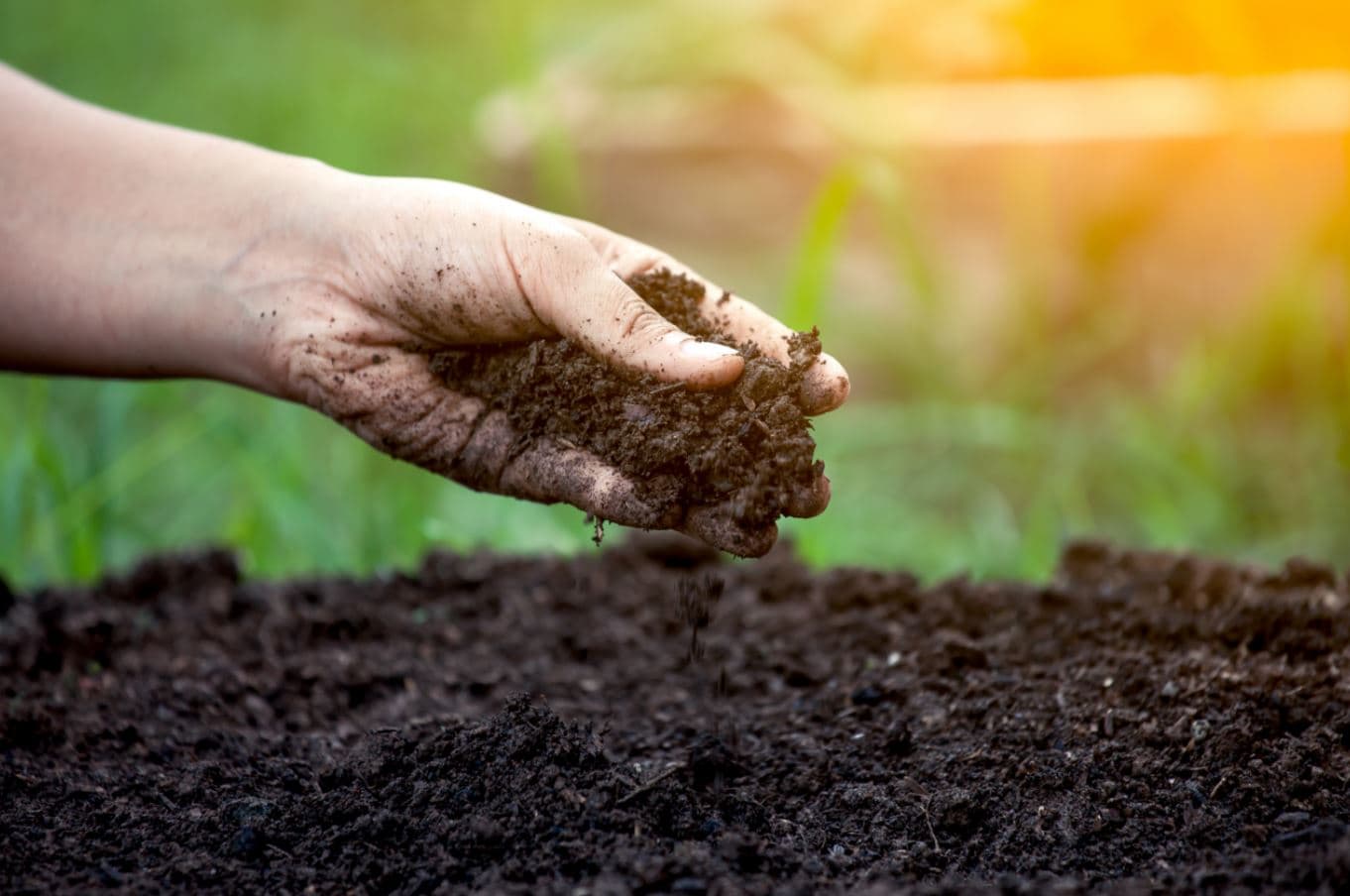 Pesticidet, të pranishme në tokë edhe pas 20 vitesh