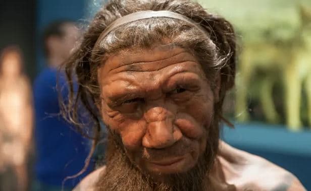 Gjenden gjurmë të ADN-së së Neandertalëve, shkenca mund të zhbllokojë jetën sekrete të tyre
