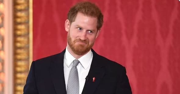 Princ Harry cilëson “lajthitje” Amendamentin e Parë në SHBA
