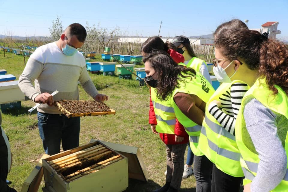 Dita Botërore e Bletëve/ Rama: Do të vazhdojë mbështetja për mbi 4 mijë e 300 bletarë