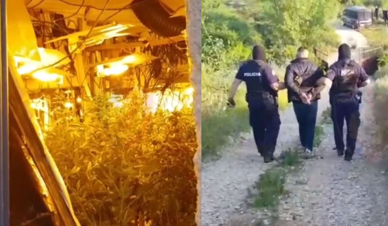 Operacioni antidrogë në Krujë, arrestohen 16 persona, mes tyre kryeplaku i fshatit Halil (VIDEO)