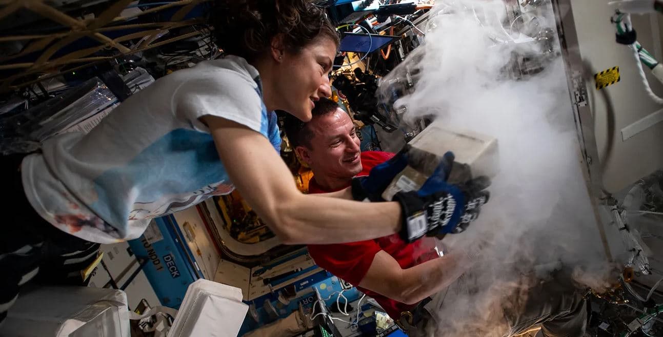 Pse astronautët po krijojnë organe njerëzore në hapërsirë?