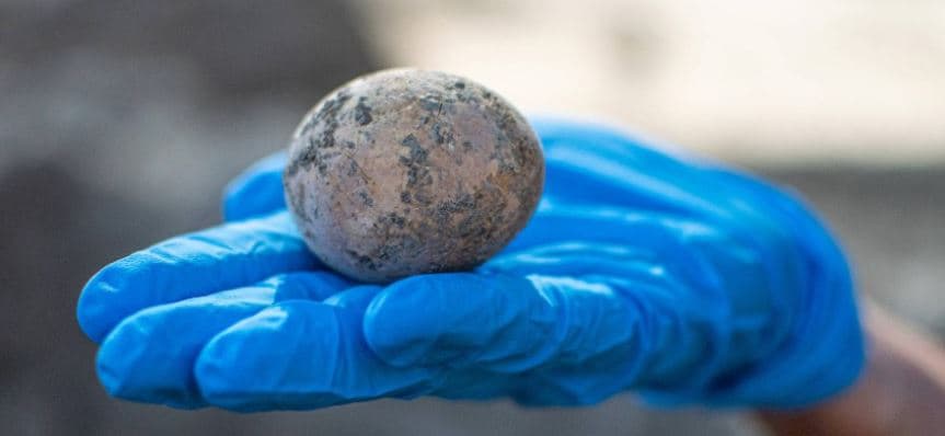 Zbulohet një vezë 1000 vjeçare në Izrael