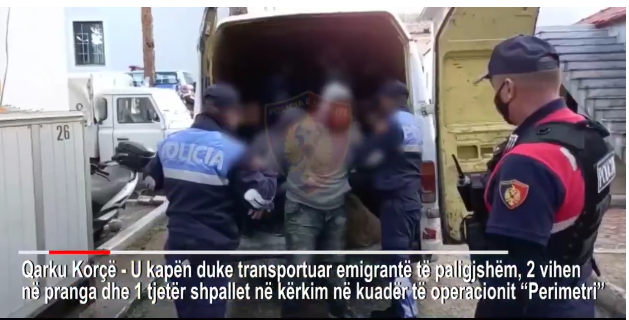 Transportonte klandestinë, arrestohet një shtetase në Pogradec