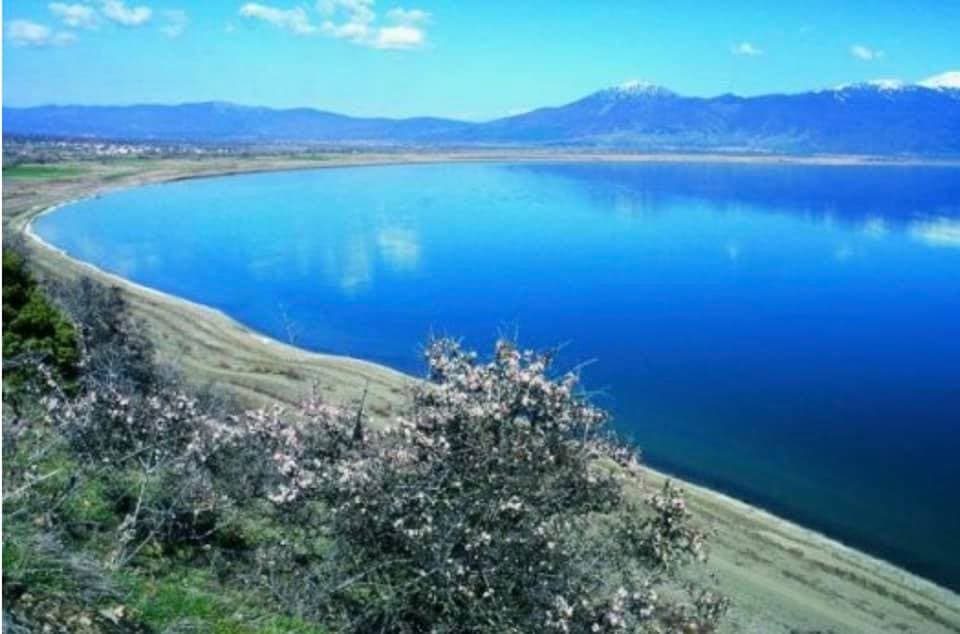 Agjencia e Mjedisit: Sot shënohet Dita e Liqenit të Ohrit dhe Shkodrës, dy mrekullitë që prekin skajet e Shqipërisë