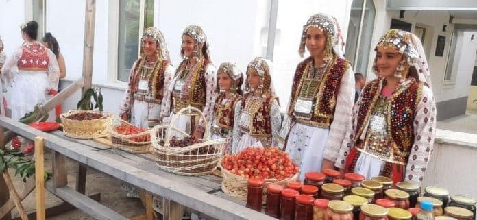  Organizohet festa e qershisë në Godolesh