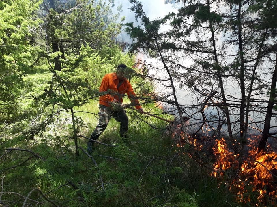 Vazhdojnë prej katër ditësh flakët në Malin e Tomorrit