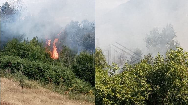 Zjarr masiv në Kurbin, rrezikohen linjat elektrike (VIDEO)