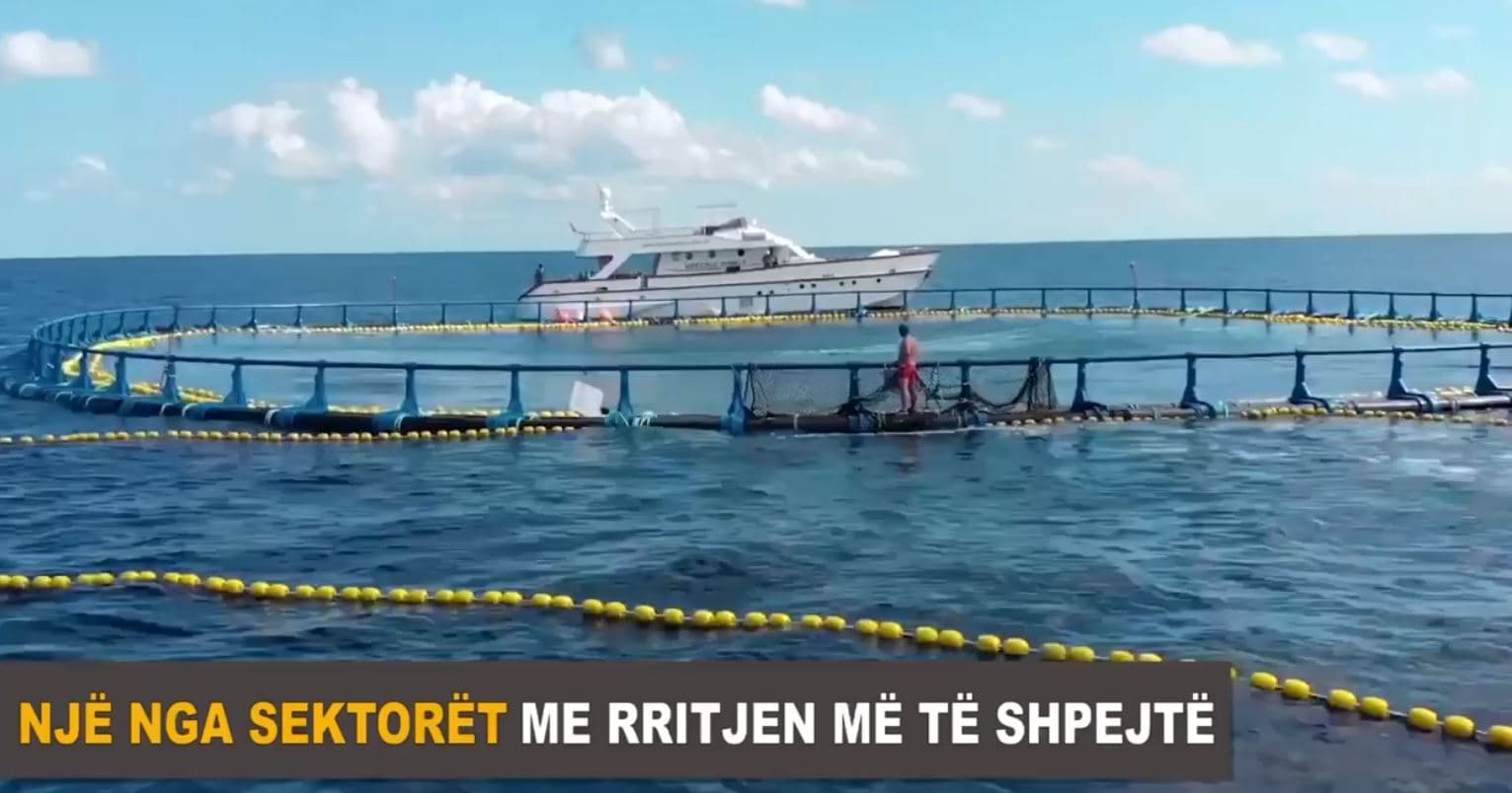  Rama për peshkimin: Prej 2013, eksportet katër herë më të larta
