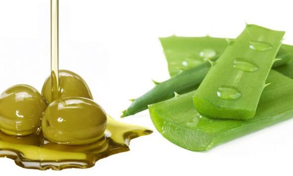 Kombinoni vajin e ullirit me aloe vera dhe do habiteni nga përfitimet e tyre