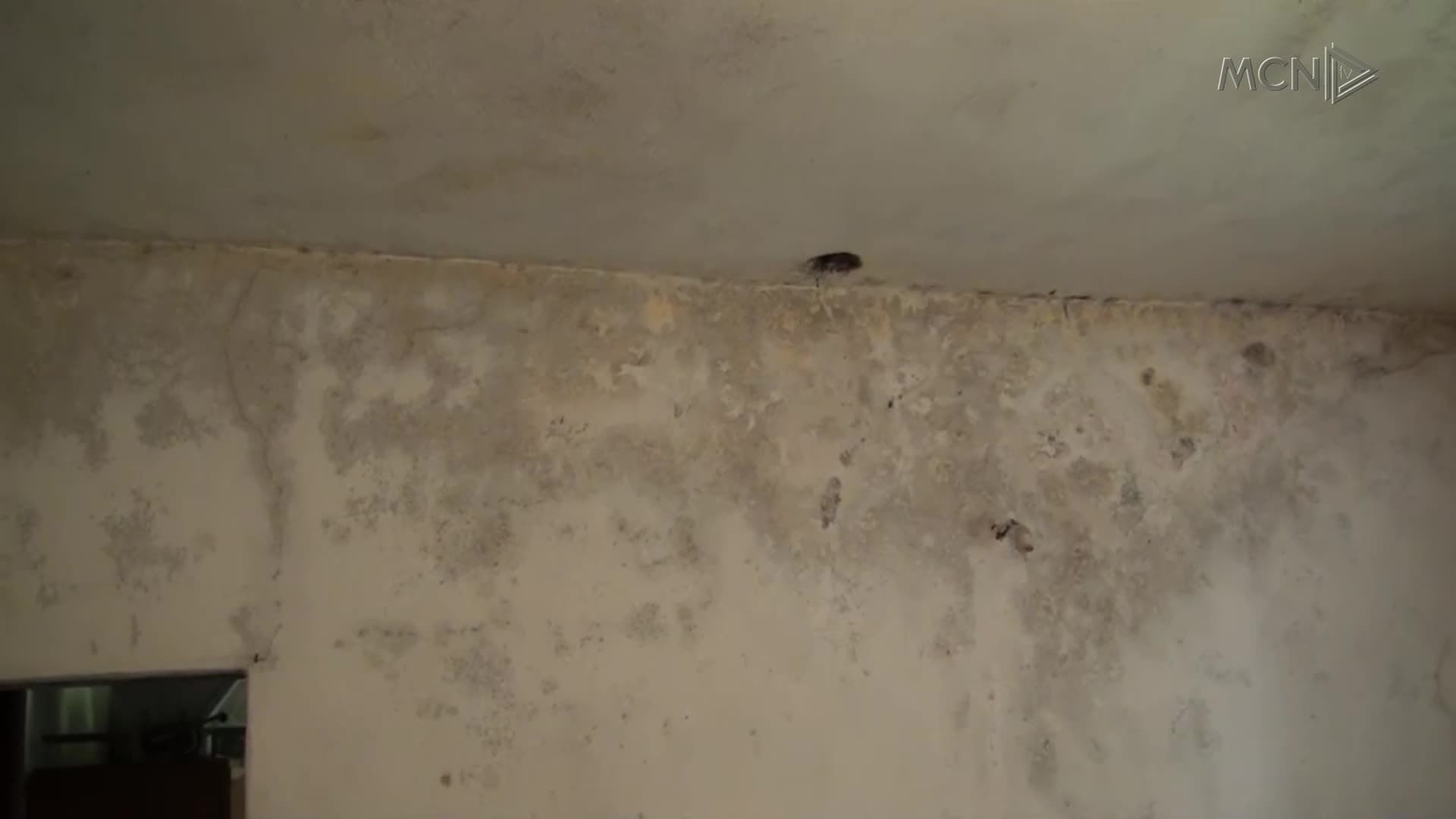 Jetesa në varfëri dhe shtëpi të dëmtuar (VIDEO)