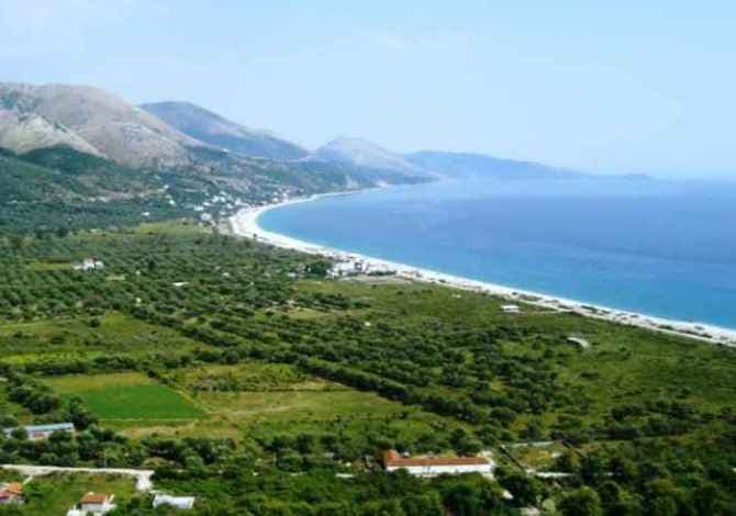 Arrestimi i ish-juristit në Durrës, policia: Regjistroi me dokumente false 2000 m2 tokë