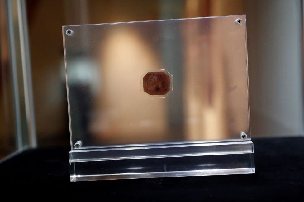 Pulla e rrallë e shek. 19 kthehet në Angli pas 143 vjetësh