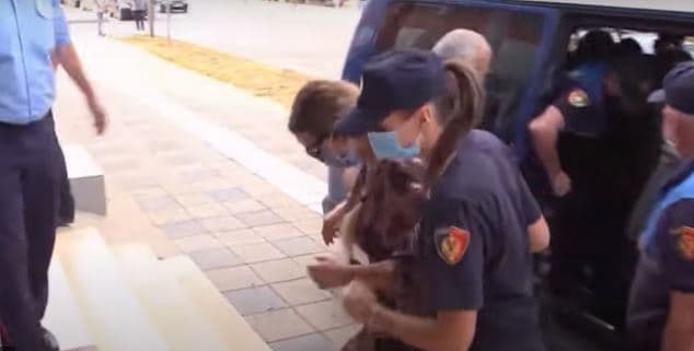 Në kërkim për trafik armësh, Fjolla Morina arrestohet në lokalin e saj