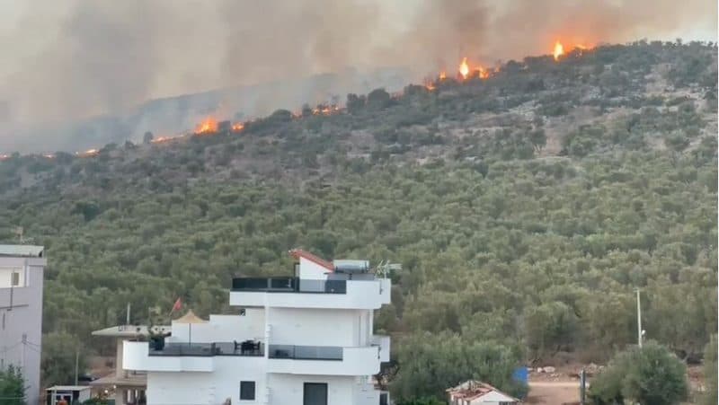 Ksamil, përfshihet nga flakët kodra me ullinj