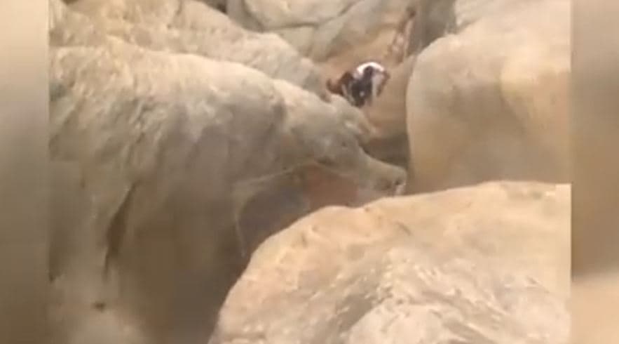 Ngecën në kanionet e Gjipesë, shpëtohen nga FNSH 3 turistët