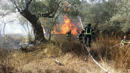 Zjarri shkrumbon dhjetëra hektarë pyje e kullota në Përmet