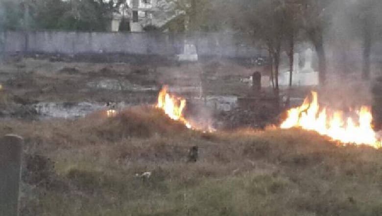 Gjirokastër/ Zjarri shkrumbon 5 hektarë vreshtari në fshatin Dhoksat