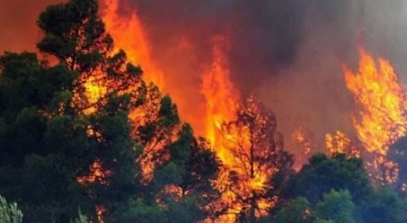 Zjarret, vatra të reja në Elbasan (VIDEO)