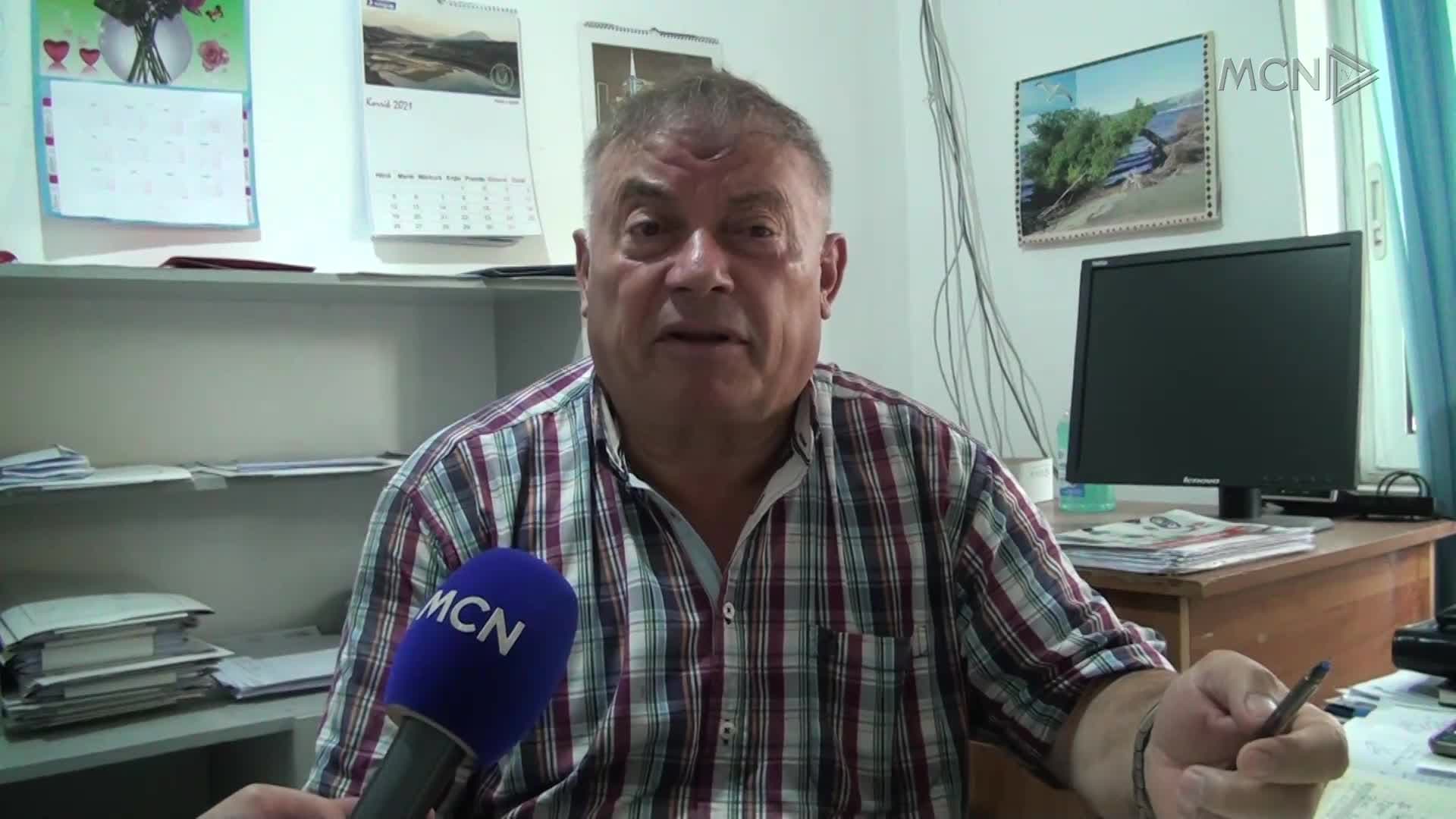 Parcela me kanabis në pyjet e Gramshit (VIDEO)