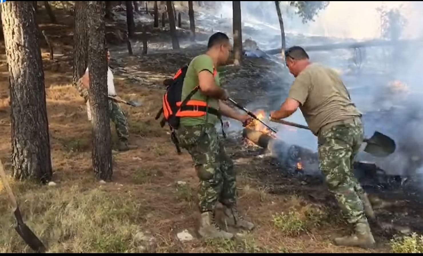    Peleshi për zjarrin në Dukat: Nuk paraqet rrezikshmëri në drejtim të Parkut të Llogarasë