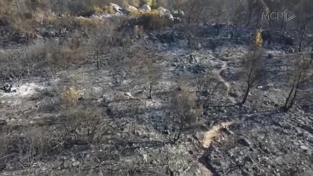 Greqi, 900 mijë hektarë tokë e shkrumbuar (VIDEO)