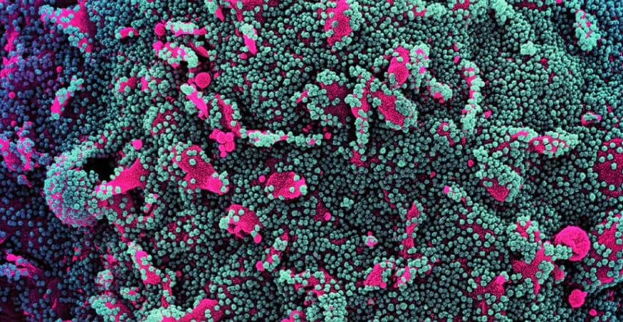 Inteligjenca amerikane merr të dhënat mbi Covid-19 nga laboratori në Wuhan