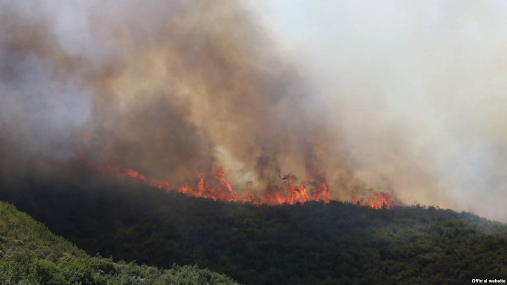 Të dyshuar për zjarrvënie të qëllimshme/ Arrestohen dy autorët në Vlorë e Sarandë
