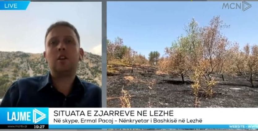 Zjarret në qarkun e Lezhës, Pacaj: 20 vatra u neutralizuan menjëherë, këtë vit kemi më pak dëme (VIDEO)