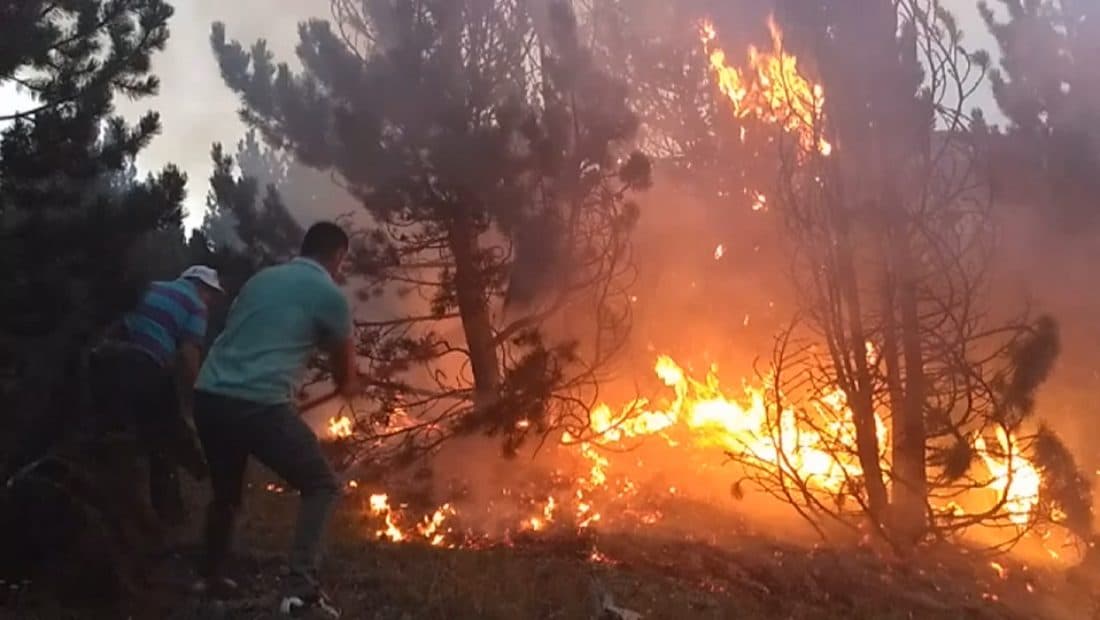 Përhapet vatra e zjarrit në Patalej dhe Thirrë, situata nga zjarret në vend