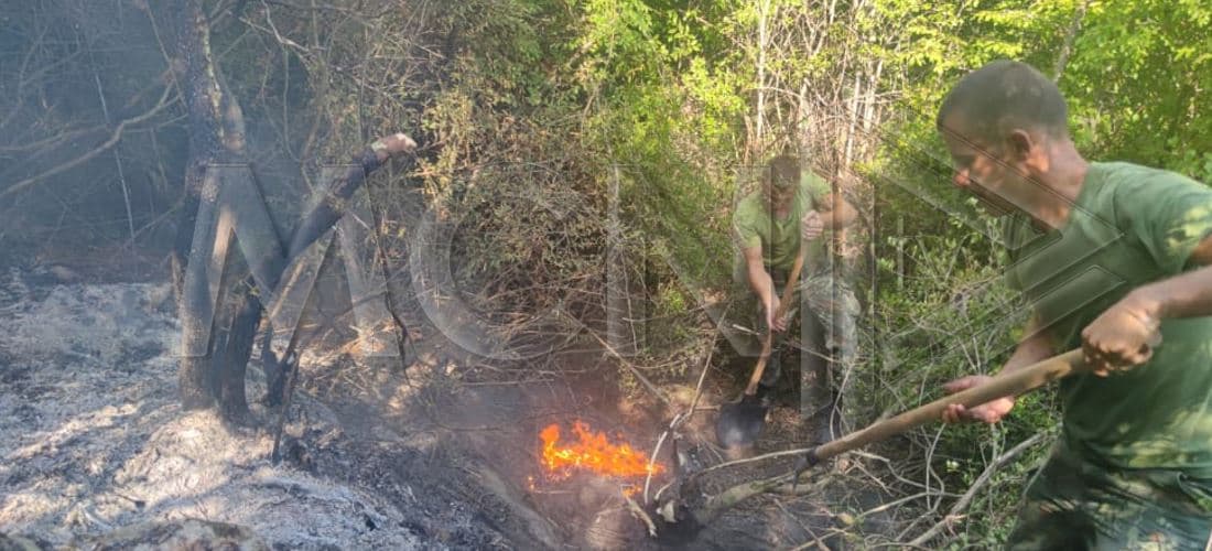 Era favorizon zjarrin në Lezhë, kërkohet ndërhyrja nga ajri