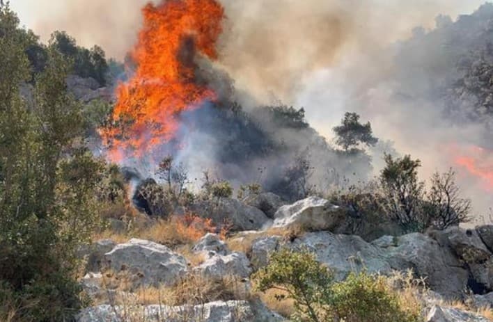 Situata e zjarreve në vend, Ministria e Mbrojtjes: Era po favorizon përhapjen e flakëve