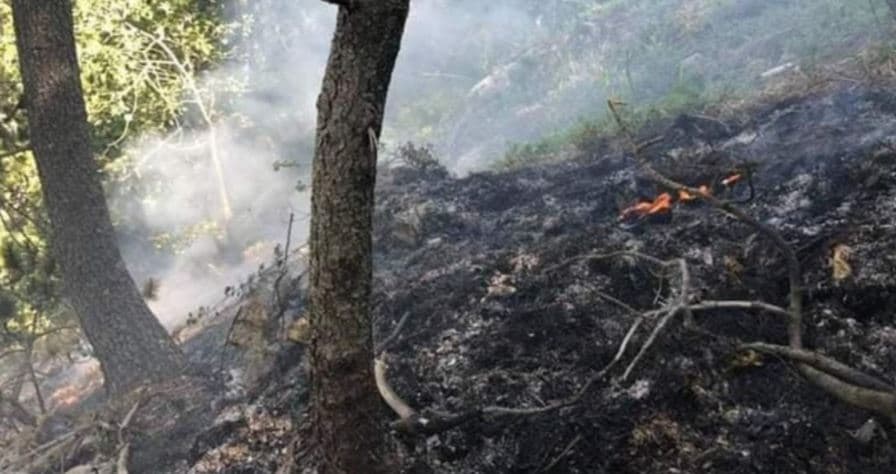 I vuri zjarrin një sipërfaqeje në grykëderdhje të Semanit, arrestohet 59-vjeçari në Fier