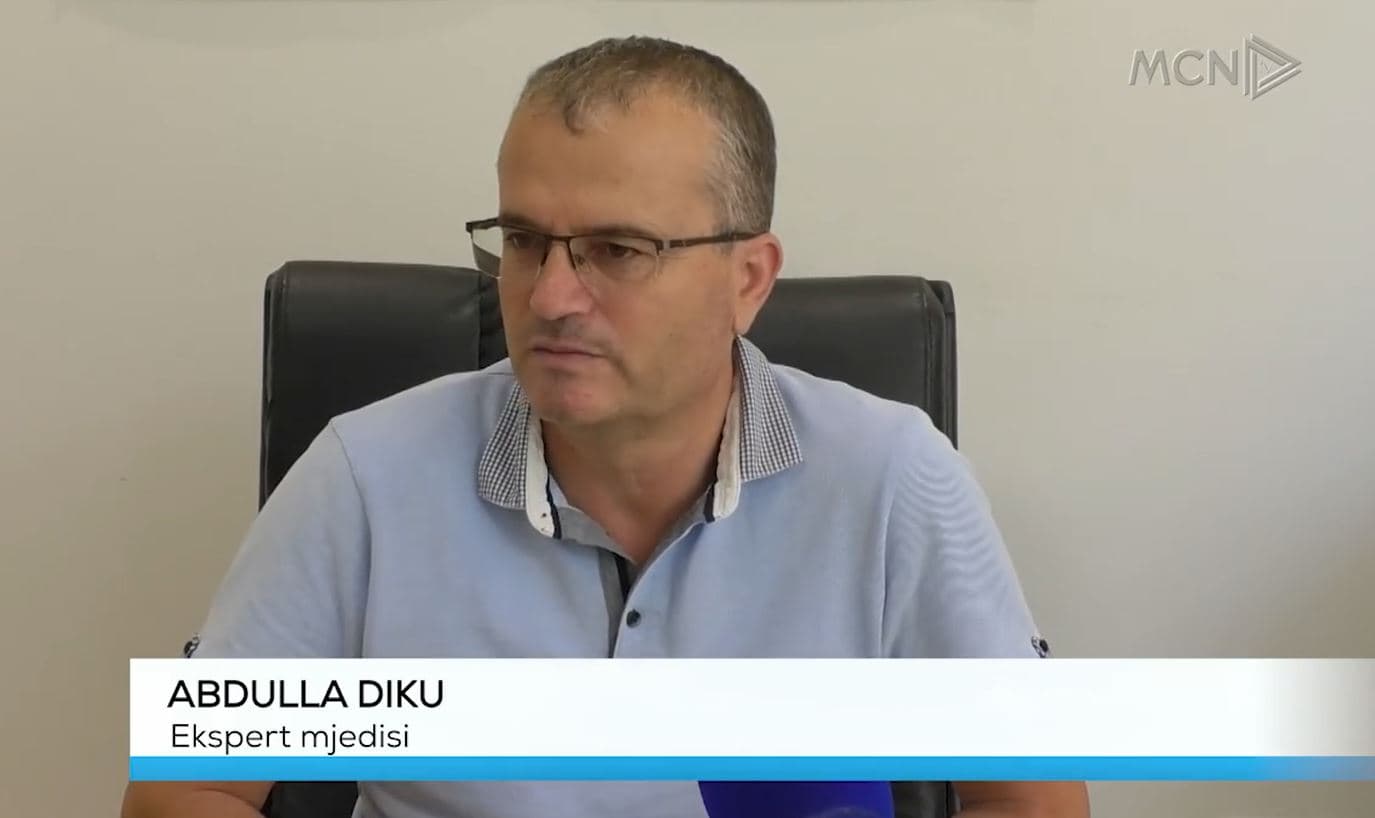 Djegia e pyjeve, dëmi 1 miliardë euro/ Ekspertët: Shqipëria e papërgatitur për katastrofa mjedisore (VIDEO)