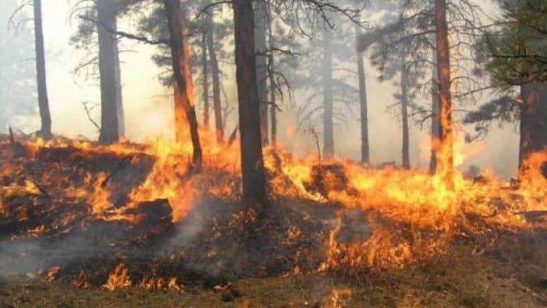 Zjarret në vend, MM: Në Fushë Arrëz do ndërhyhet me helikopter, këto janë vatrat më problematike