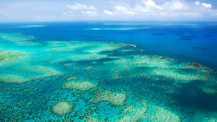 Shkencëtarët zbulojnë koloninë më të madhe koralore në Australi