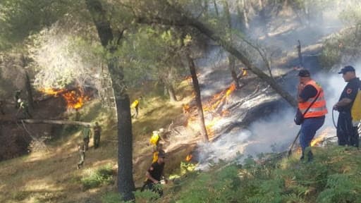 Zjarret në vend/ Vijon djegia në Himarë, flakët në Fushë Arrëz u afrohen banesave