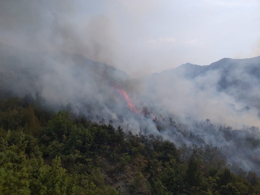 Zjarri në fshatin Zhulat, ndërhyn ushtria për shuarjen e flakëve