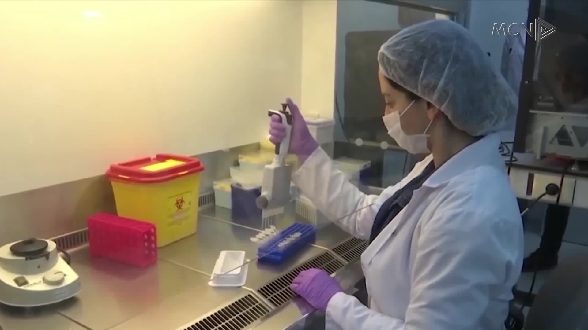 OBSH: Rriten frikshëm të infektuarit dhe vdekjet nga Covid në Evropë (VIDEO)