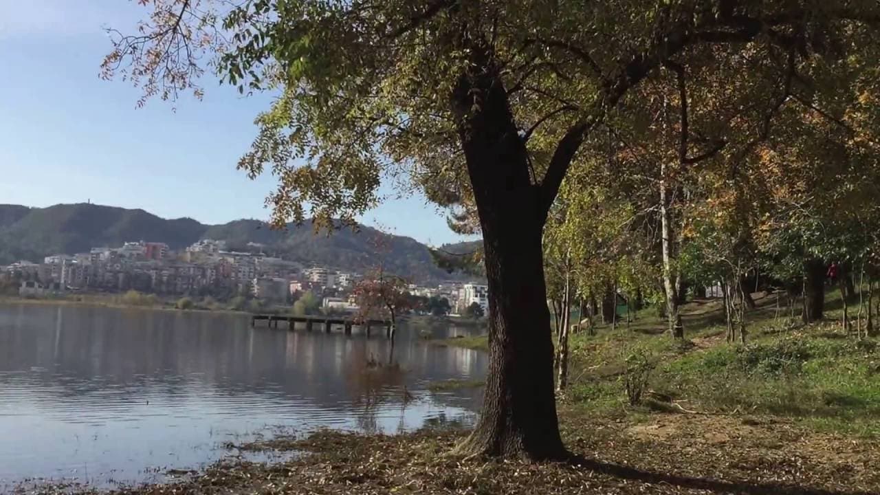 Mbytet te Liqeni Artificial një i moshuar