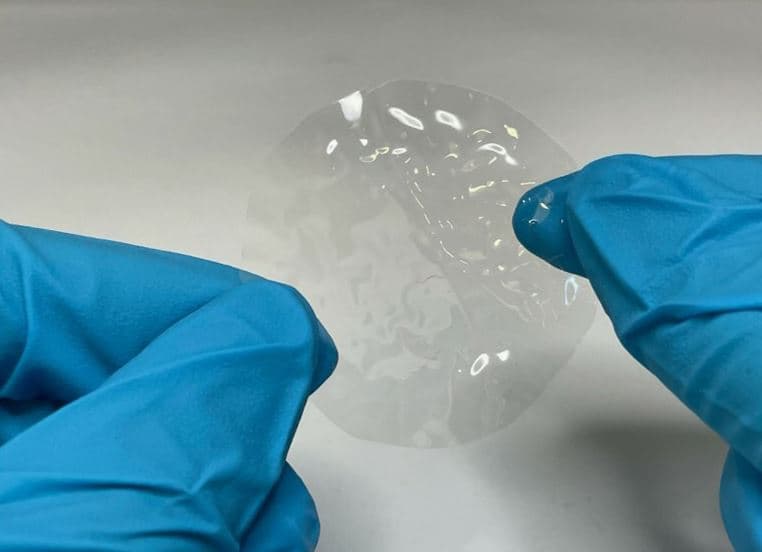 Një shpikje e re në Gjermani: plastikë nga celuloza