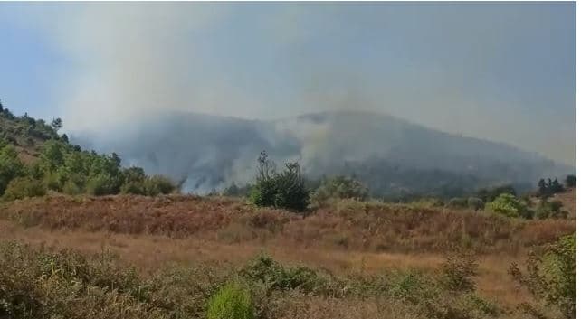 Aktivizohet vatra e zjarrit në Memaliaj, flakët përfshinë një zonë pyjore