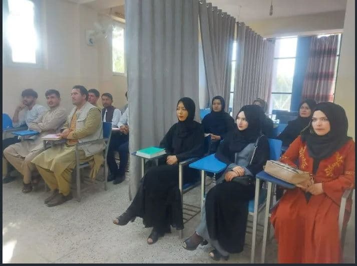 Rihapen universitetet afgane, studentët meshkuj dhe femra ndahen me perde