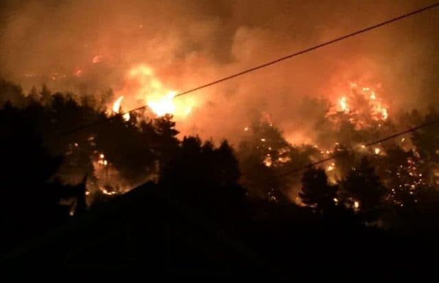 Elbasan, marrin flakë kodrat në fshatin Shushicë