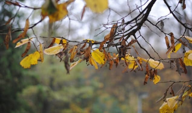 Vranësira kalimtare dhe ulje temperaturash, moti për sot