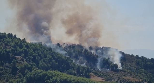Zjarr në ullishten dhe varrezat e fshatit Peshtan