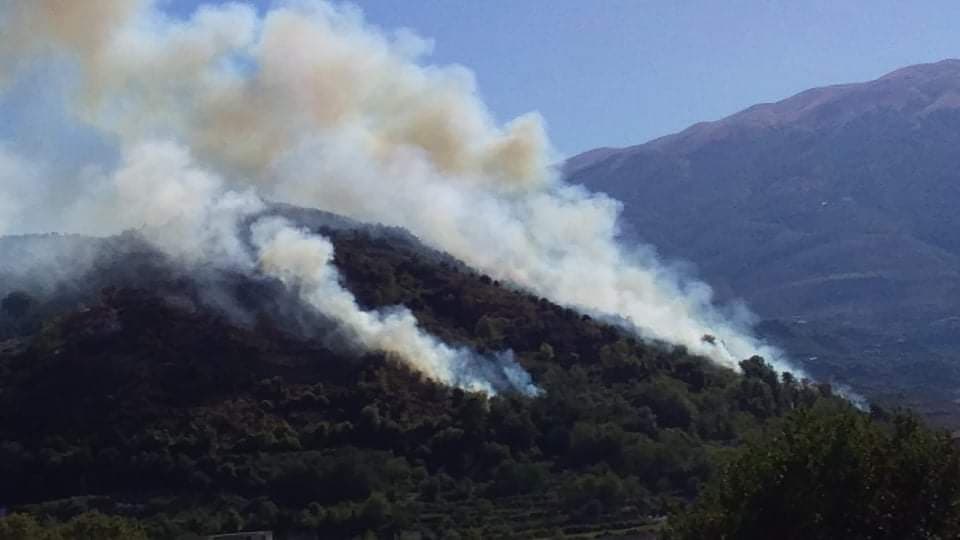 Zjarr në Memaliaj, një zonë pyjore përfshihet nga flakët