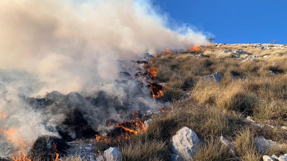 Tentoi të fikte zjarrin në tokën e tij/ 59-vjeçari nga Kavaja asfiksohet dhe vdes